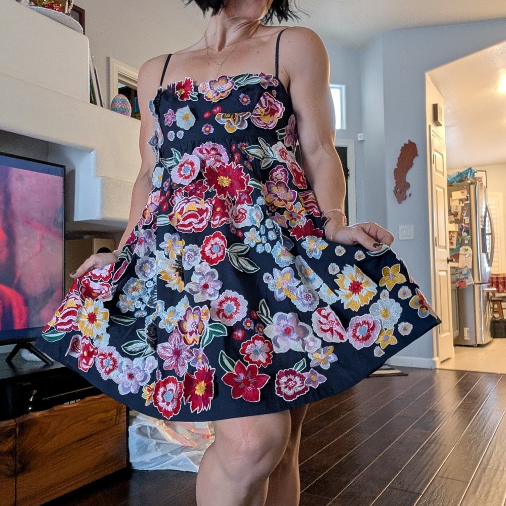 Anthropologie Navy and Red Dress